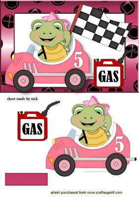 Cute Turtle Girl in a Racing Car