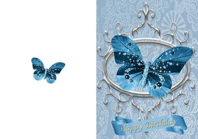 Pretty Blue Butterfly on Silver Ornate Frame