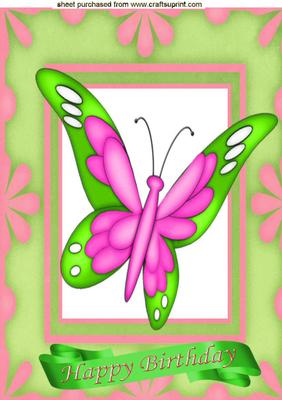 Rainbow Pink Butterfly in Floral Frame A4