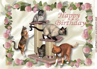 Playful Cats in a Frame of Pink Roses A4