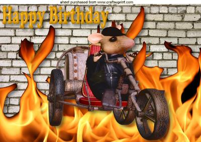 House Mouse on a Trike, Birthday A4