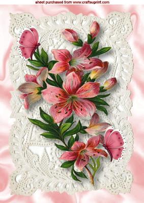 Pretty Pink Flowers on Ecru Lace A4
