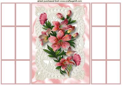 Pretty Pink Flowers on Ecru Lace, French Doors