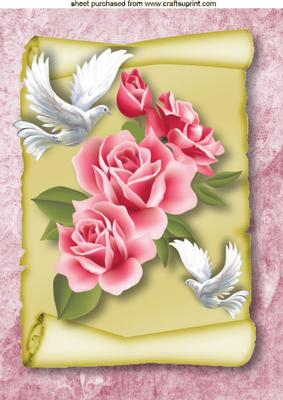 Pink Roses and Doves on a Scroll A4