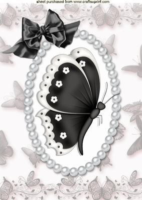 Pretty Black & White Butterfly, in Pearl Butterfly Frame A4