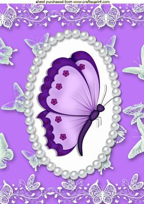 Pretty Purple Butterfly in Pearl Butterfly Frame A4