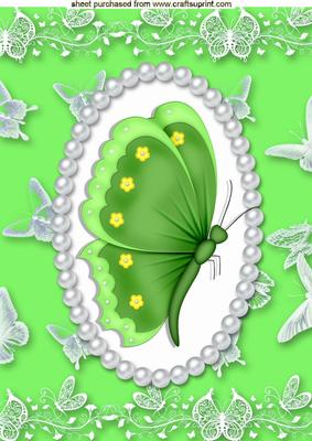 Pretty Butterfly in Green,in Pearl Butterfly Frame A4