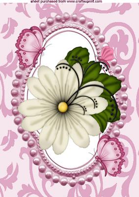 White Flower with Pink Butterfly A4