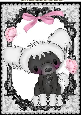 Sweet Little Puppy in Lace Frame with Pink Bow A4