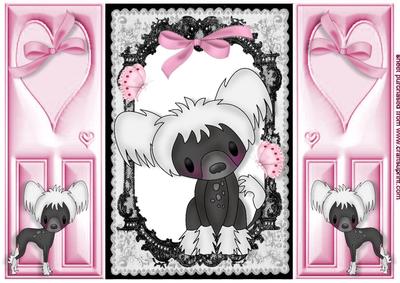 Sweet Little Puppy in Lace Frame, Gatefold