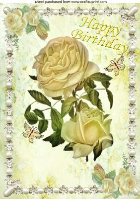 Cream Roses in Pearl Frame A4