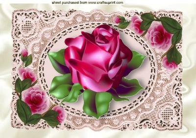 Single Red Rose on Ecru Lace A4