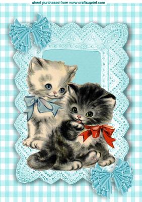 Sweet Little Kittens in Lace Frame & Frill Blue Bows A4