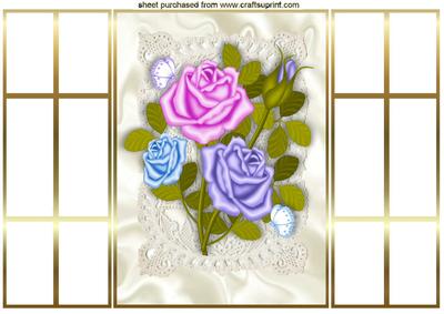 Pretty Coloured Roses on Ecru Lace, French Door Gatefold