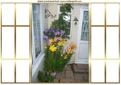 Looking Into the Garden Through French Doors Gatefold