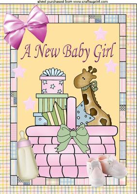 Basket of Fun a New Baby Girl, A4