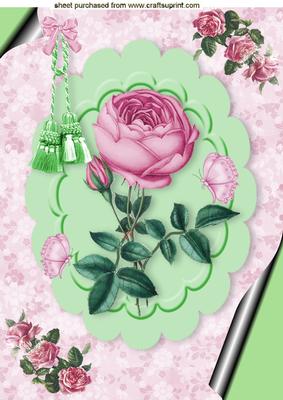 Pink Rose with Tassel and Bow, A4