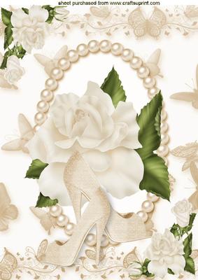 Cream Rose in Pearl Frame with Shoes, A4