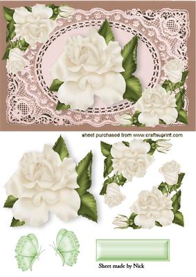 Cream Rose on Ecru Vintage Lace with Butterflies