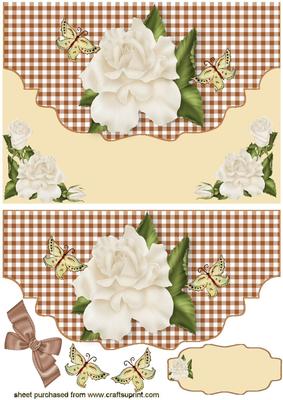 Pretty Cream Rose on Scalloped Envelope