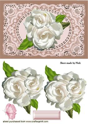 White Roses on Vintage Lace
