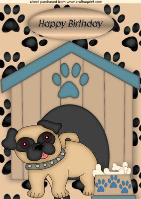 Little Pug with Brown Collar in Kennel A4