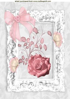 Pink Rose and Butterfly in Ornate Frame A4