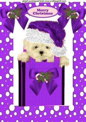 Cute Little Westie in Purple Santa Hat A4