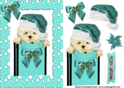 Cute Westie in Turq Santa Hat