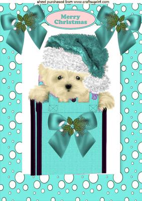 Cute Westie in Turq Santa Hat A4