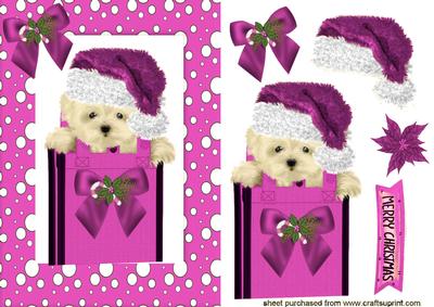 Cute Westie in Pink Santa Hat