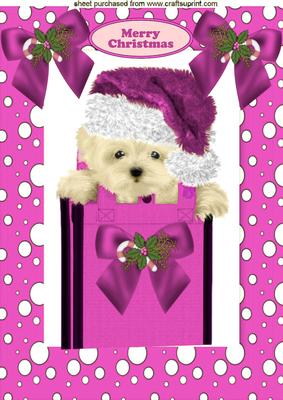 Cute Westie in Pink Santa Hat A4