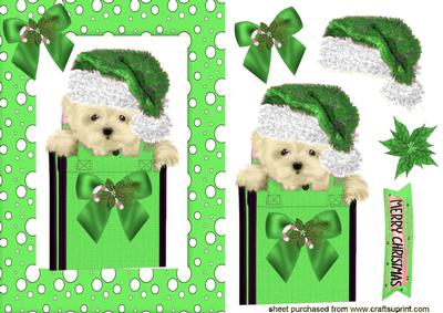 Cute Westie in Green Santa Hat