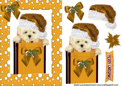 Cute Westie in Gold Santa Hat