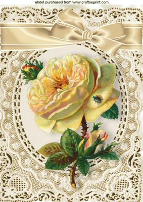 Peach Rose on Vintage Lace A4