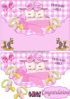 Double Trouble, Twin Baby Girls