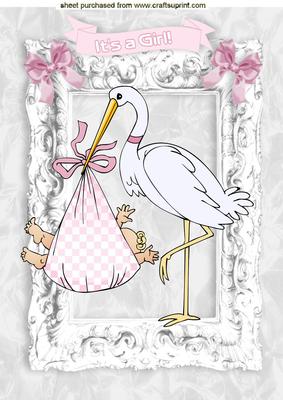 Cute Baby Girl with Stork in Silver Frame A4