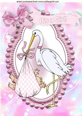 Special Delivery, Sweet Baby Girl A4
