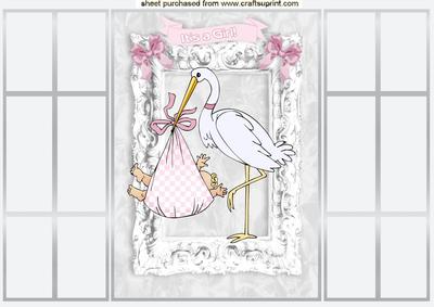 Special Delivery Baby Girl, Silver French Gatefold