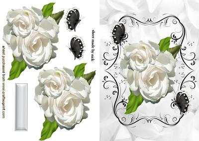 Cream Roses and Black Butterflies