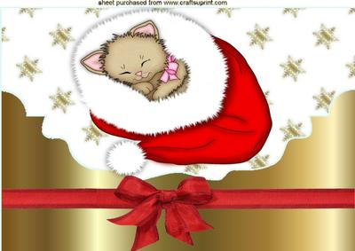 Cute Kitty Sleeping in Red Santa Hat A4