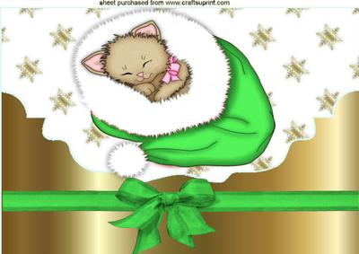 Cute Kitty Sleeping in Green Santa Hat A4