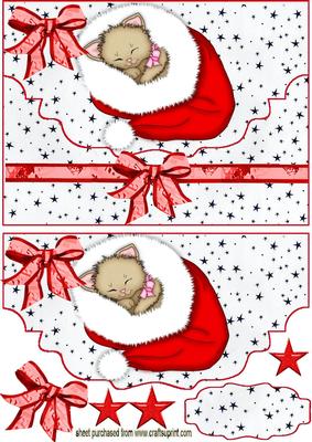Red Santa Hat with Kitty, on Scalloped Envelope