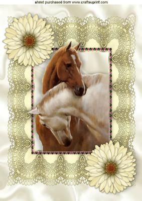 Beautiful Horses Heads Entwined in Lace Frame A4