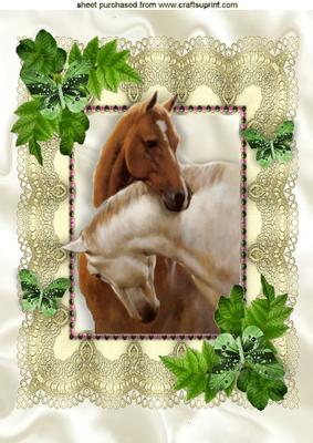 Beautiful Horses Heads Entwined in Lace Frame A4