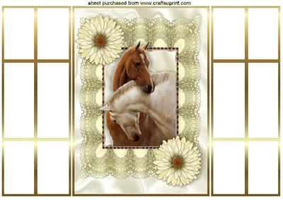 Beautiful Horses Heads Entwined, French Gatefold