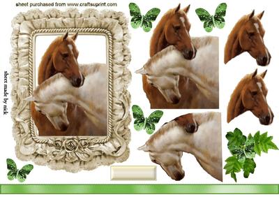 Beautiful Horses Heads Entwined in Frill Frame