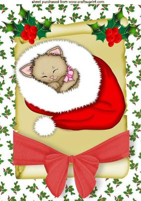 Sweet Little Kitty in Red on a Scroll A4