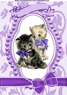 Lovely Kitties in Bead Frame with Purple Bow