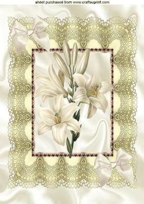 Lillies on Vintage Lace with Cream Bow A4